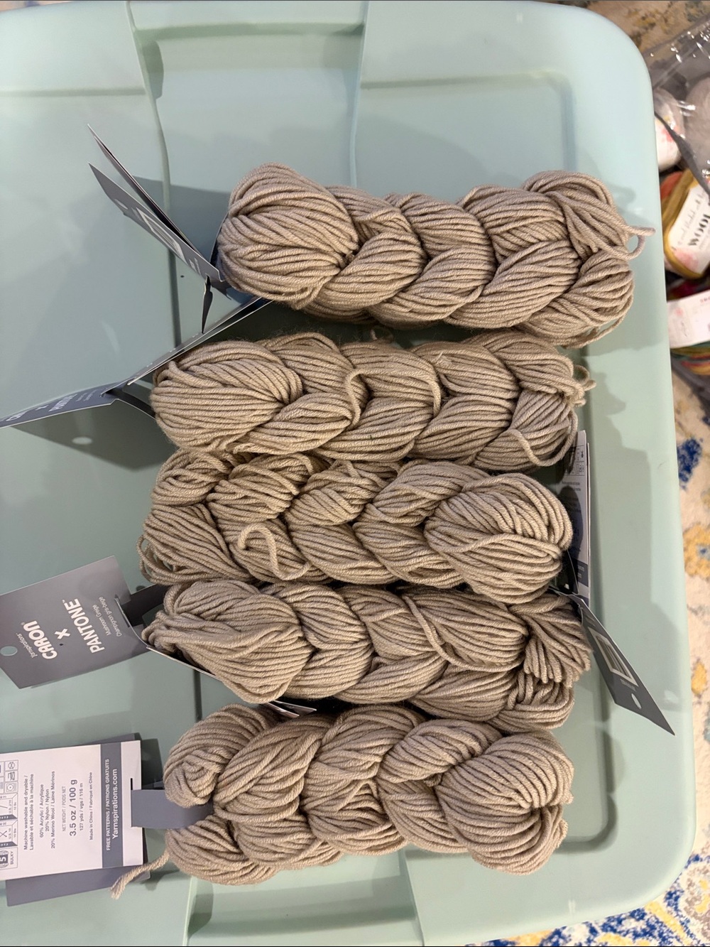Caron x Pantone Yarn - Mushroom Greige